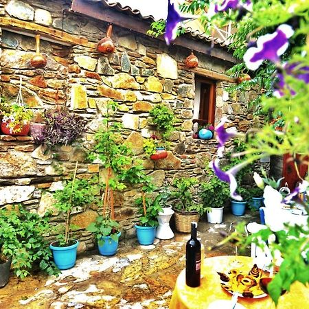 Sirincem Pension Selçuk Luaran gambar