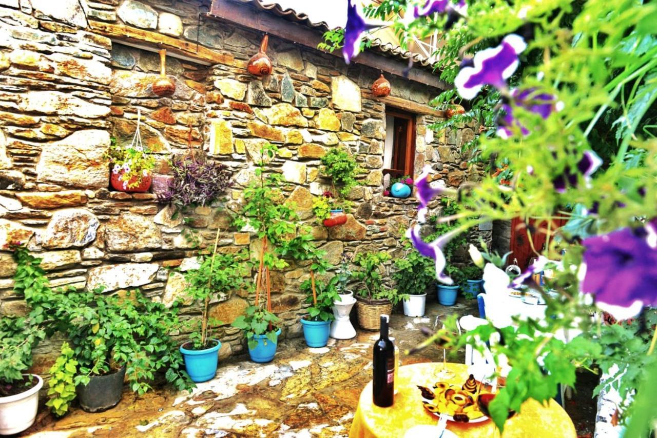Sirincem Pension Selçuk Luaran gambar